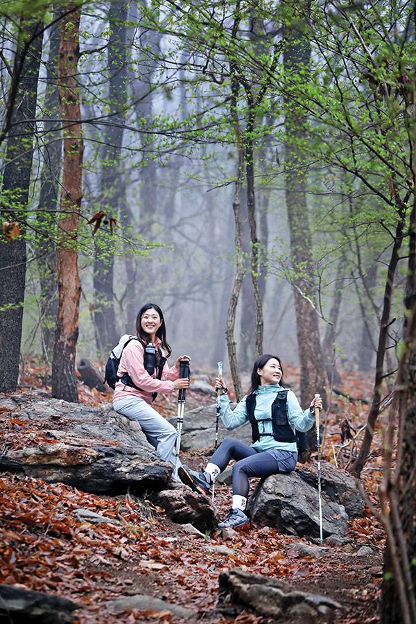 신록과 안개가 어우러진 진강산. 기대 없이 오른 산의 신비로운 분위기에 신이 난 최서윤·이민정(오른쪽)씨.