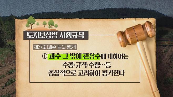 토지보상법 시행규칙 제37조. 나무 보상에 관한 세부 내용이 명시되어 있다.