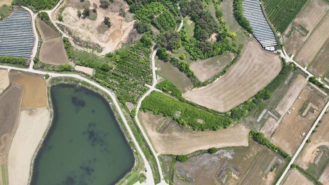 사진 속 12시 방향에 투기 목적으로 무궁화 나무가 가득 심겨진 모습.