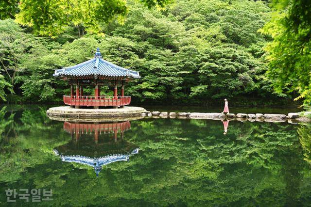 내장사 입구 우화정은 여행객의 인증사진 명소다. 산자락이 수면에 비쳐 대칭을 이루고 있어 돌다리를 건너면 '우화'라는 명칭처럼 선계로 들어서는 듯하다.