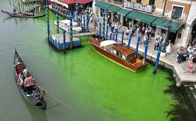 베네치아의 유명 관광지 리알토 다리 아래 운하가 형광빛으로 환하게 빛나는 녹색으로 변했다. AP 연합뉴스