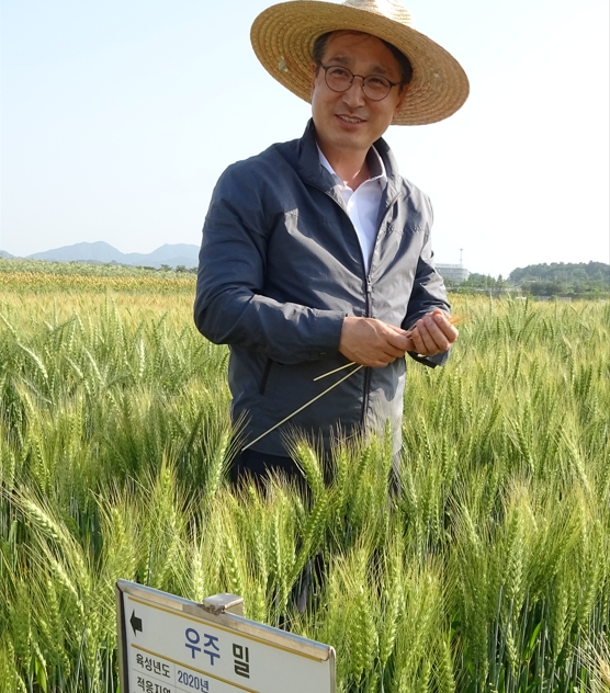 밀밭을 둘러보고 있는 서효원 국립식량과학원장.