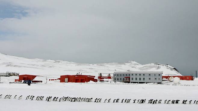 남극세종과학기지 / 출처 : 극지연구소 공식 홈페이지