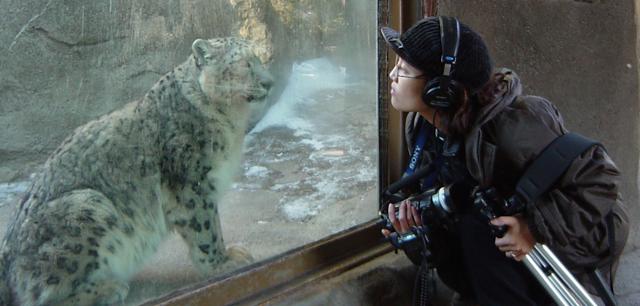 황윤 감독이 한 동물원에서 촬영 중 히말라야 눈표범과 눈동자를 마주치는 모습. 황윤 감독 제공