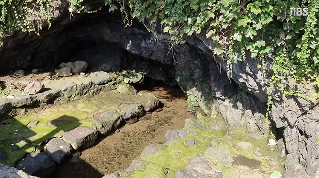 제주시 삼양1동 엉덕알물