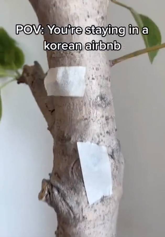한국 숙소에서 불법촬영 피해를 걱정하는 여행객이 많다며 몰카 탐지기를 추천했다. /사진=트위터 캡처