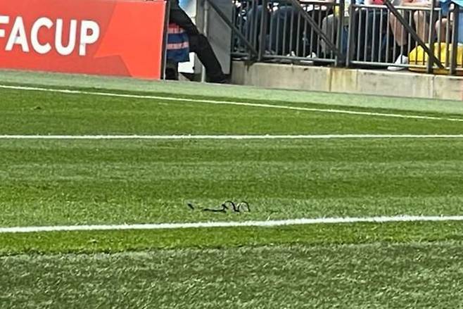 ▲ 영국 BBC는 린델뢰프를 향해 던진 이물질들이 안경, 물병이라고 전했다