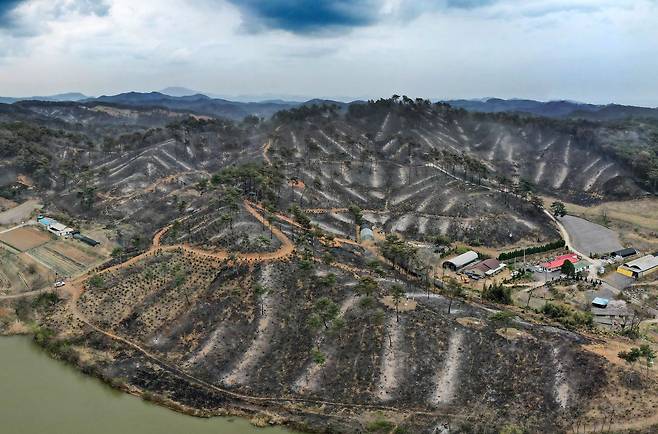 지난 4월 큰 산불로 산림이 몽땅 타버린 충남 홍성군 서부면 일대 야산. 홍성군은 올 여름 호우 기간 산사태를 막기 위해 위험지역 15곳 인공 구조물을 설치하고 있다. /신현종 기자