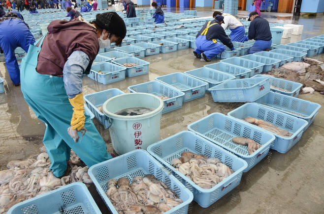 일본 후쿠시마현의 한 어항(漁港)에 수산물이 놓여 있다.   연합뉴스