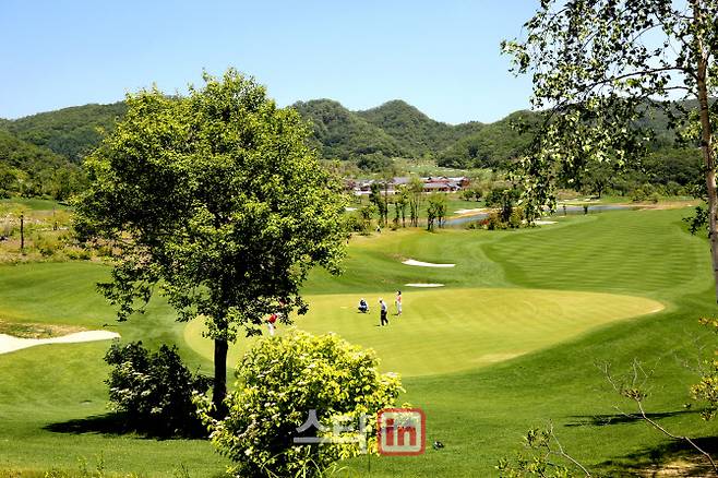 국내 골프장의 코스 전경. 사진은 특정 기사 내용과 관련 없음. (사진=이데일리DB)