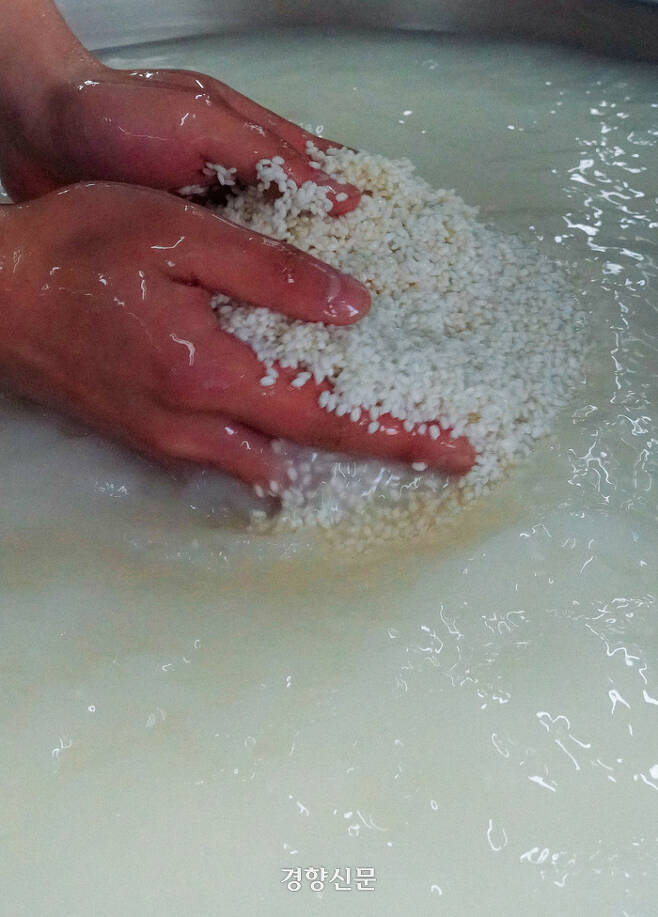 막걸리를 빚기 위해 쌀을 씻고 있는 모습