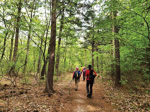 때론 마음의 휴식이 되는 숲길을 만나곤 했다.