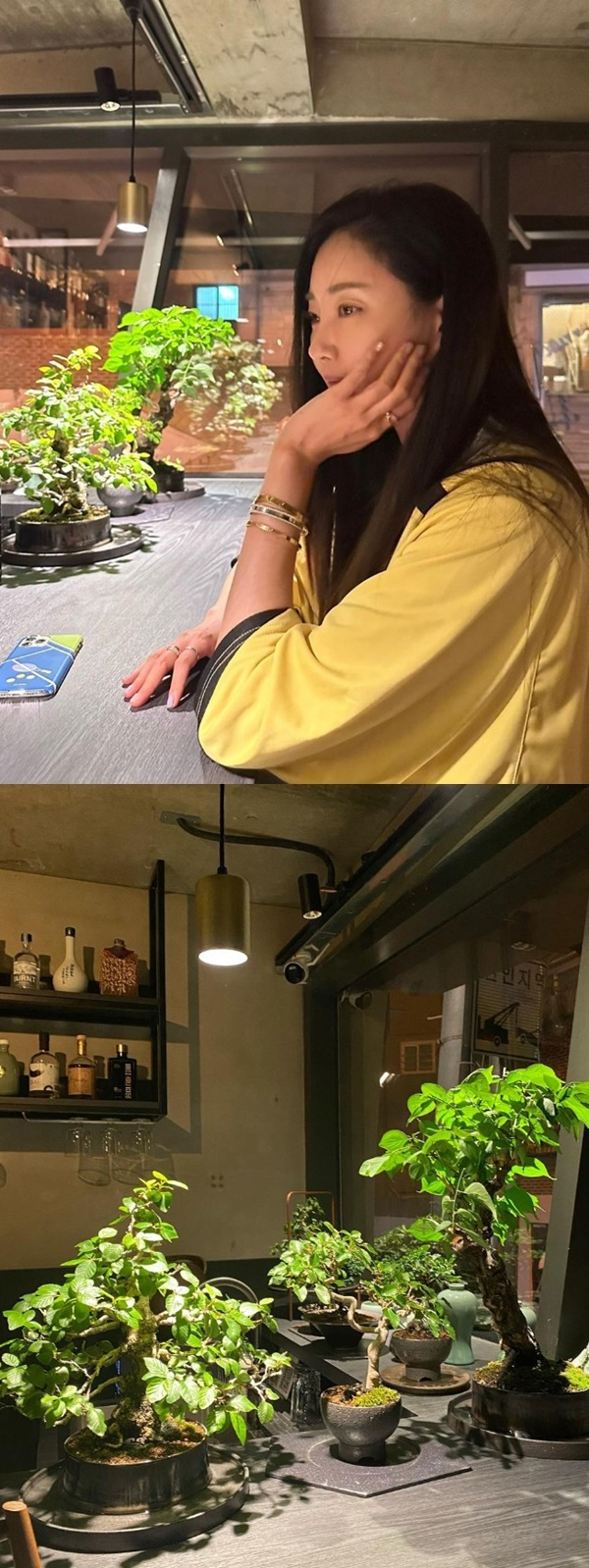 On the 23rd, Kim Sa-rang posted several photos on his instagram with an article entitled # Plants # Bonsai # Green.In the open photo, Kim Sa-rang poses while gazing at the bonsai with his gleaming eyes, especially his aura, which can not be hidden even in casual attire.The netizens responded that they are not people, I am in love with my thoughts!, I am very happy with my plants, and I am beautiful and beautiful.On the other hand, Kim Sa-rang appeared in the TV drama Revenge of the Sun, which last year ended in 2021, and is currently reviewing his next work.