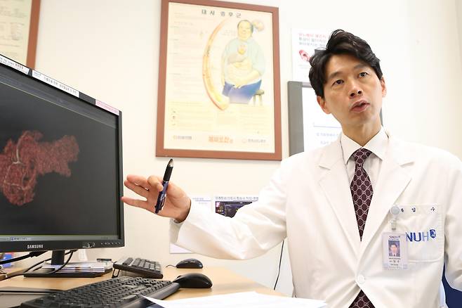 분당서울대병원 임수 교수 /분당서울대병원 제공