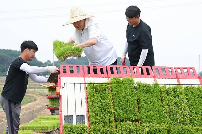 윤석열 대통령이 6월7일 충남 부여군에서 모내기에 나섰다.ⓒ대통령실 제공