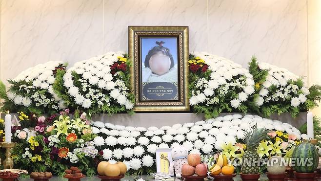 정아영 양 빈소 모습 (양산=연합뉴스) 정종호 기자 = 30일 오전 경남 양산시 물금읍 양산부산대병원 장례식장에 마련된 정아영 양의 빈소 모습. 2023.6.30 jjh23@yna.co.kr