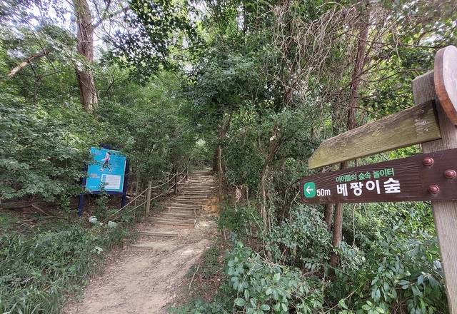 베짱이숲으로 올라는 숲 길. 문정임 기자