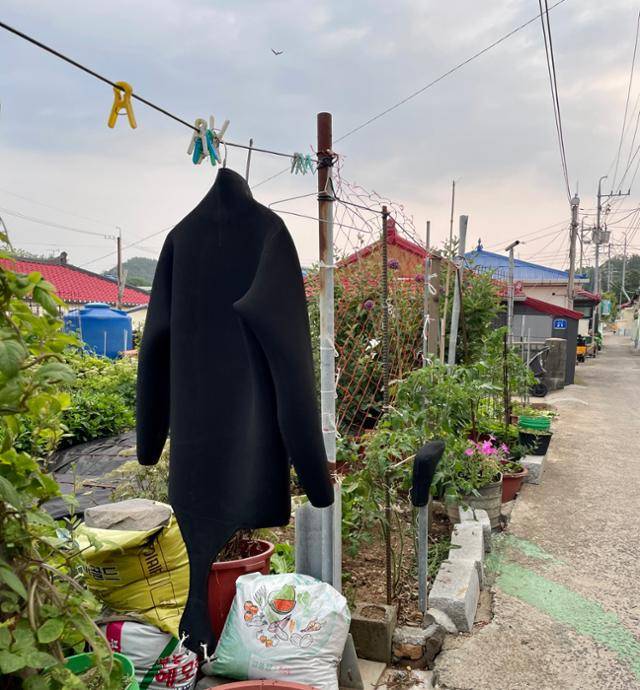 제주도뿐만 아니라 보령 호도에도 해녀가 산다. 마을 골목길을 다니다 보면 해녀 잠수복이 걸린 모습을 볼 수 있다. 보령=정민승 기자