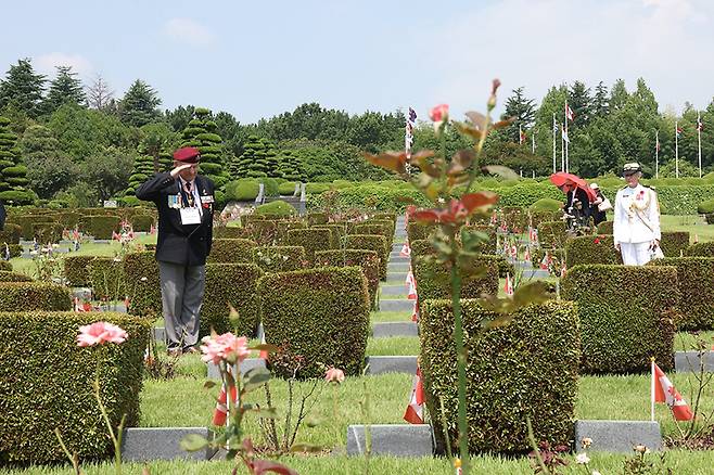 27일 부산 유엔기념공원을 찾은 유엔참전용사가 전우의 묘를 찾아 경례하고 있다. (사진=문화체육관광부 국민소통실)