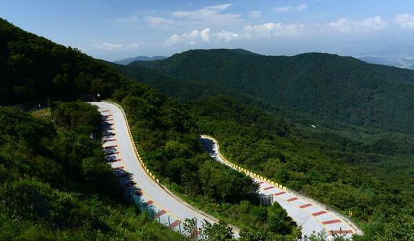 온라인 커뮤니티