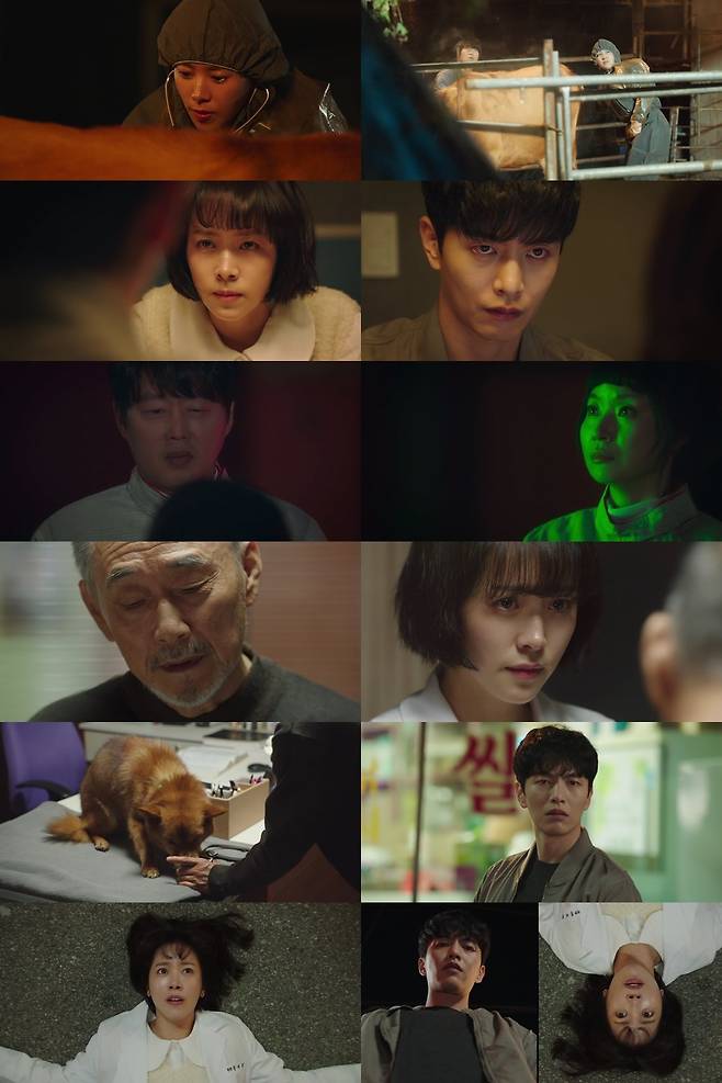 JTBCs Saturday-Sunday drama  ⁇ heapily ⁇  (directed by Kim Seok-yoon, written by Lee Nam-gyu), which was first broadcast on the 12th, was the first meeting between Han Ji-min, a veterinarian who developed The Gifted Hands superpowers, and Sentence Yeol (Lee Min Ki), a hot-blooded detective who was demoted in Seoul.Bong Ye-buns ridiculous ending, which was properly scolded by Sentence because of his absurd superpowers, announced the start of The Gifted Hands + Thriller, which I have never seen before, and the grades are not bad.One-time TV viewer ratings were 5.3% nationwide and 5.6% in the metropolitan area (based on Nielsen Korea and paid households).On the day of the ceremony, while the cattle were being treated for the imminent birth, a meteor fell on the barn and the life was unimaginable. The Gifted HandsHe was embarrassed in the past when he touched the buttocks of dogs and cats, even Uruk.It was shaken to the extent that it was caught in the poor fortune-telling of the living-type shaman Jong-bae (Park Hyeok-kwon) who had fallen into the unbelievable reality.The warning that the people around him would not be hurt if he had to be deceived made him more confused.In fact, Bong Yeon-bum was saddened by his grandfather Ji-hwan (Yang Jae-sung), who did not give Jasin who came down to the Rotating Savings and Credit association after the sudden death of his mother Jung Mi-ok.Bong Ye-bun realized that Jasins strange ability was  ⁇ The Gifted Hands ⁇ . Bong Ye-bin, who was curious about the ability, was branded as a strange person by Sentence.Bong Ye-buns absurd psychic powers, which seemed to be useless to anyone, were able to show their power in unexpected places.I thought my grandfather was having a hard time raising Jasin, so I refused to eat and tried to die quickly. I have no reason to live or you have no reason to live.He does not seem to be useless, but his appearance, which reveals his prosperity, made him look forward to his future activities.On the other hand, in the second preliminary video released at the end of the broadcast, attention is focused on whether the name of the drug teacher Ted Chang, played by actor Oh Jung-se, is mentioned in the movie  ⁇ heapily  ⁇  2 times will be broadcast at 10:30 pm on the 13th.