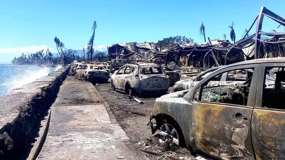 지난 11일(현지시간) 미국 하와이주 마우이섬 라하이나 지역에서 발생한 대형 산불로 새까맣게 불에 탄 자동차와 건물 잔해만 남아 있다. AFP=연합뉴스