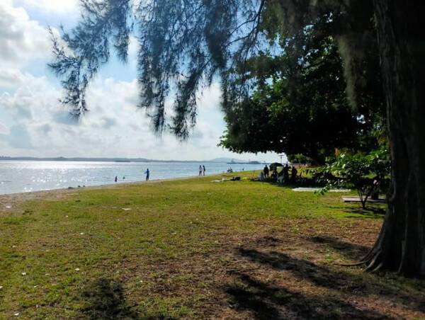 온라인 커뮤니티