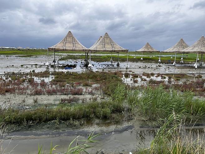 2023 새만금 세계스카우트잼버리 대회 개최 직전인 지난 7월 13일 야영지 모습 / 전북환경운동연합 제공