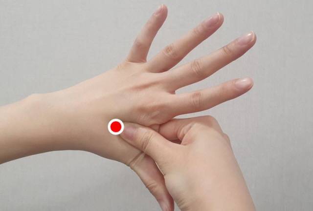 합곡혈을 자극해 수양명 대장경락이 흐르는 모든 부위의 통증을 완화할 수 있다./사진=자생한방병원 제공