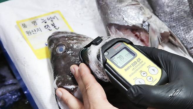노량진 수산시장에서 관계자가 일본산 수산물에 대해 방사능 검사를 하고 있다. 뉴시스