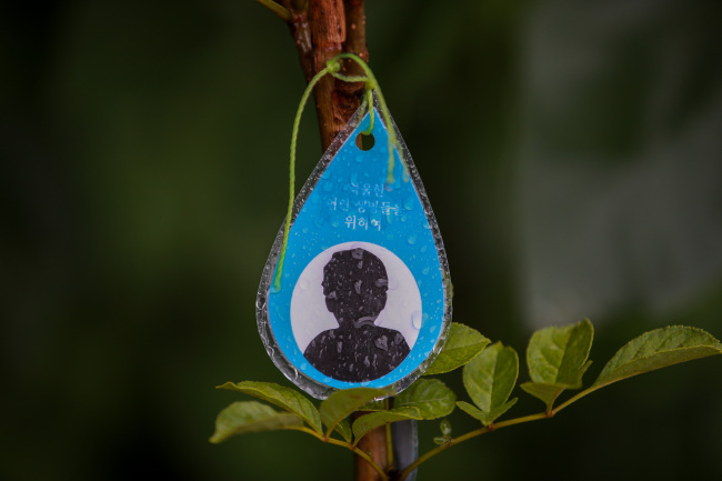 서울 마포 노을공원에 심겨 있는 가습기살균에 피해자를 추모하는 나무의 모습.  이준헌 기자