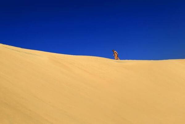 온라인 커뮤니티