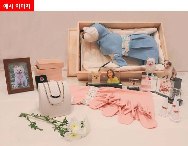 스카이펫 예시 이미지. 보람상조 제공