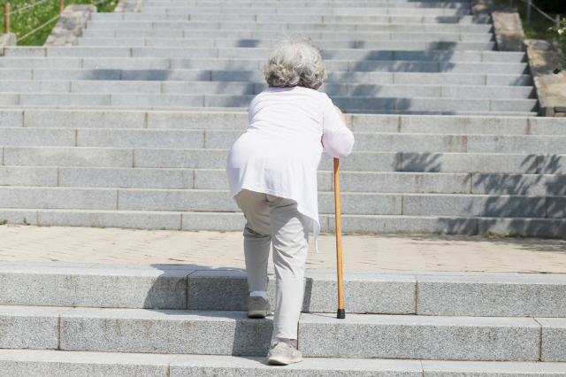 노인은 근육량을 유지하기 위해 평소 많이 걷기 위해 노력해야 한다. 내리막길을 걷는 것은 삼가는 것이 좋다./사진=클립아트코리아