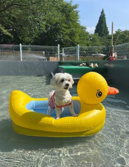 온라인 커뮤니티