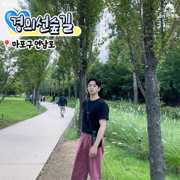 서울 산책하기 좋은 곳 추천 / @yeongkyu_