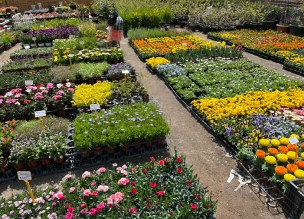 부산의 한 화훼단지.