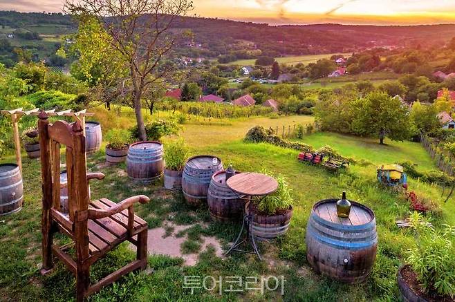 포도 수확기의 와이너리 ⓒ 헝가리 관광청 카이의 포도밭ⓒ 헝가리 관광청 포도 수확기의 와이너리 ⓒ 헝가리 관광청