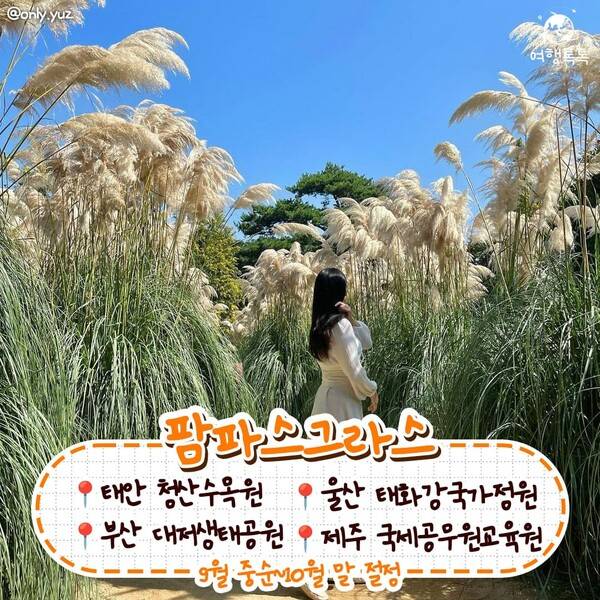 가을 데이트 코스 / @only.yuz