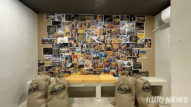 사진=안세진 기자