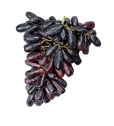 블랙사파이어