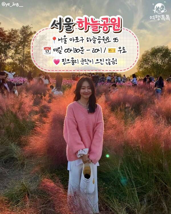 핑크뮬리 명소 추천 / ⓒ여행톡톡