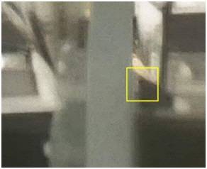 사건 당시 손 군이 강비탈로 추락한 뒤, 미상의 인물이 곧바로 따라내려갔다가 3분 뒤 혼자 다시 올라와 좌우로 이동하며 강비탈을 살피는 모습이 찍힌 영상의 캡처..