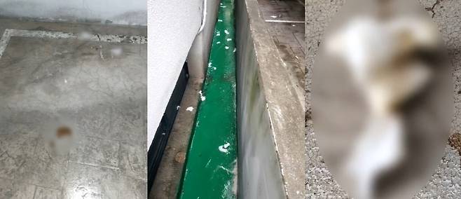 (JTBC '사건반장' 갈무리)