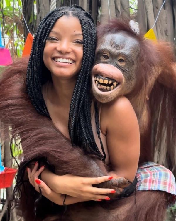 미국 배우 할리 베일리가 태국의 한 동물원에서 오랑우탄과 찍은 사진을 공개하면서 논란이 일었다. 할리 베일리 인스타그램