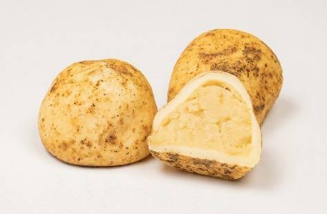 ▲ 춘천 감자빵