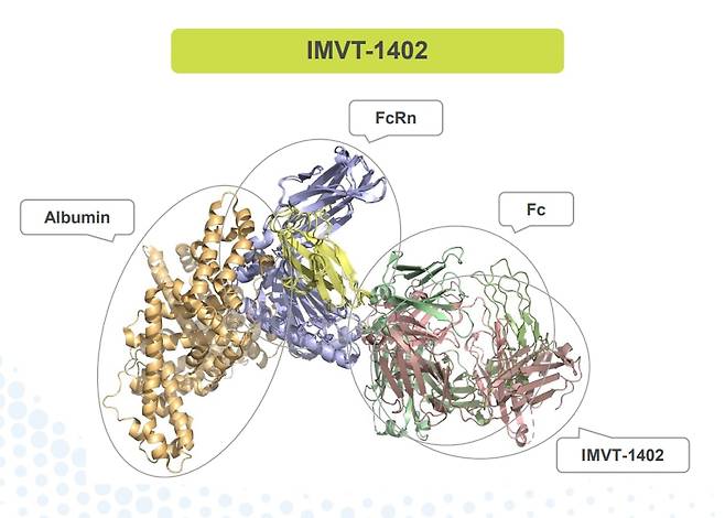 이뮤노반트 IR 자료