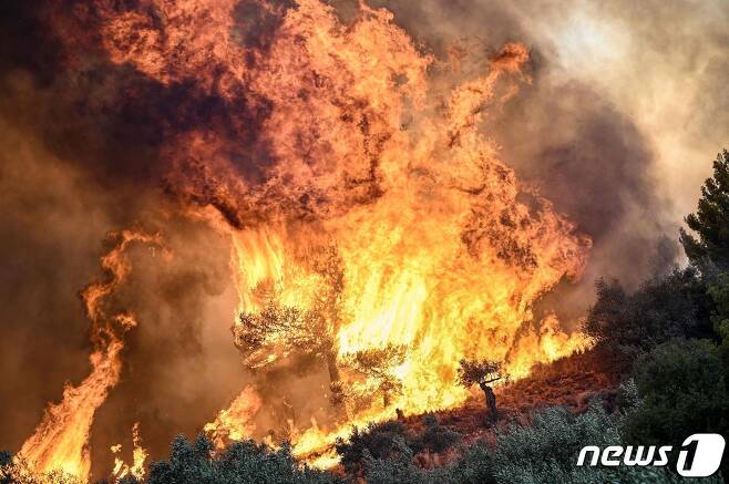 21일 (현지시간) 산불이 발생한 그리스 프로드로모스의 숲에서 불길이 거세게 확산되고 있다. 2023.8.22 ⓒ AFP=뉴스1 ⓒ News1 우동명 기자