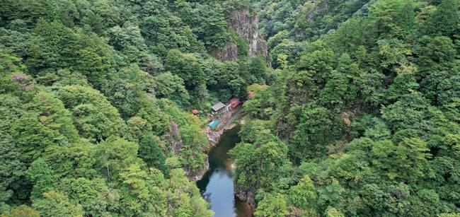 일본 히로시마현 서북쪽의 산단쿄(三段峽)는 깊고 좁은 협곡을 따라 기기묘묘한 경관이 이어지는 자연 명소다. 일본 정부가 지정한 특별명승 36곳 중 하나다. 협곡 중간쯤에는 수심이 깊어 진초록의 물빛이 검게 보이는, ‘구로부치(黑淵)’라 불리는 소(沼)가 있는데, 그 소에 배를 띄워 정취를 즐긴다. 협곡의 수직 직벽 아래 들어선 건물은 식사와 차를 파는 산장 ‘구로부치소(黑淵莊)’다.