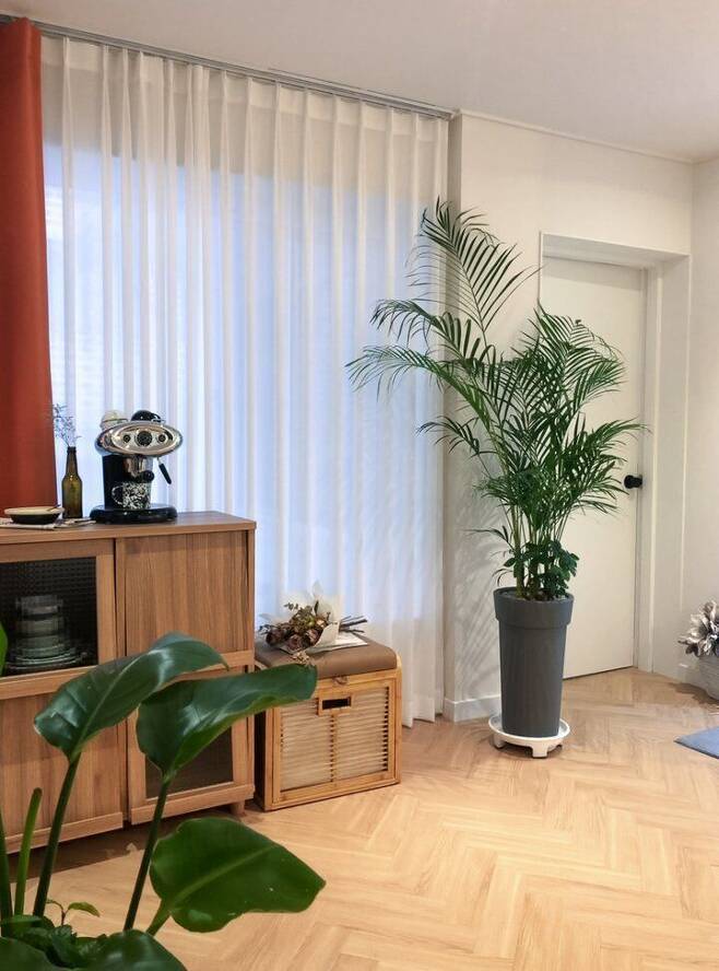 출처: <커피 머신> 제품 정보 보러 가기 (▲이미지 클릭)